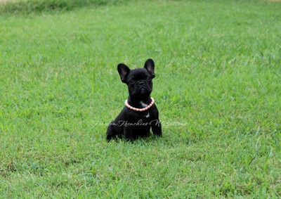 Black Female