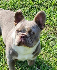 Tyson