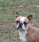 Milo