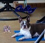 Oakley